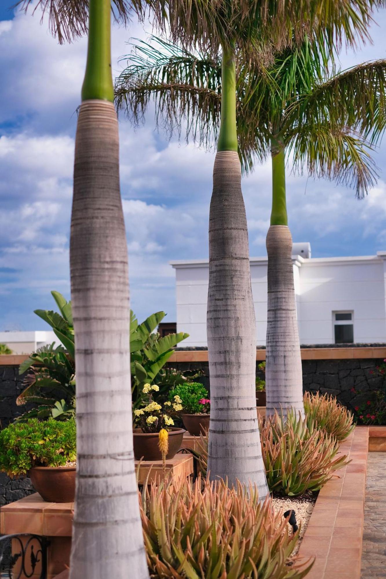 Casa Mia Pensionat Puerto Calero Eksteriør billede